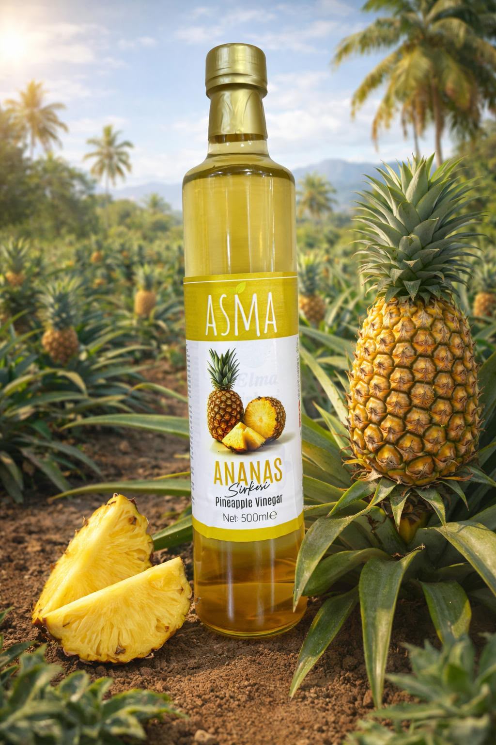 Ananas Sirkesi 500 ml
